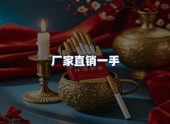 专业团队办公环境